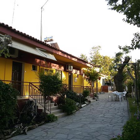 Villa Maria Apartments Polychrono Esterno foto